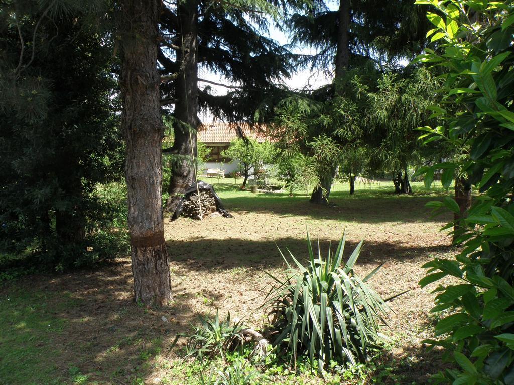 B&B Villa Mirella Casnate Con Bernate Luaran gambar