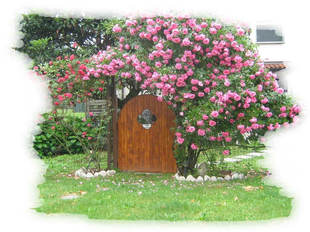 B&B Villa Mirella Casnate Con Bernate Luaran gambar