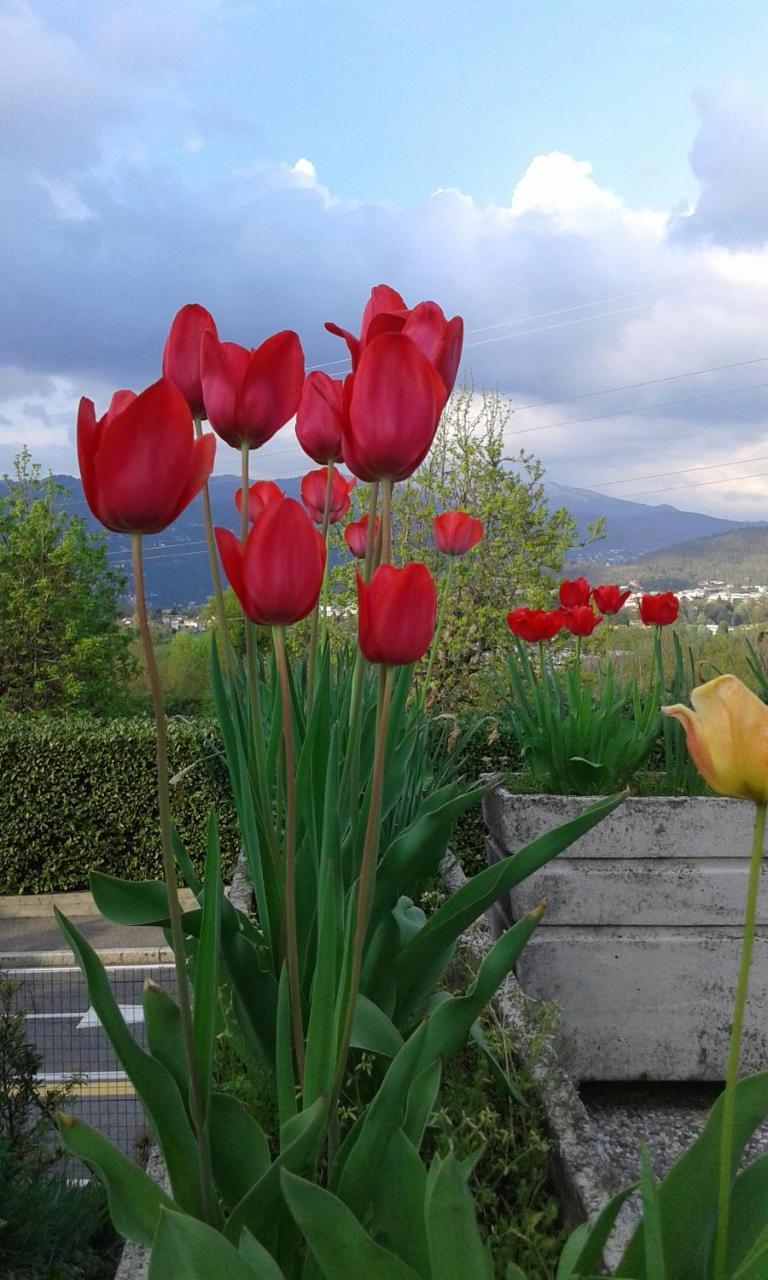 B&B Villa Mirella Casnate Con Bernate Luaran gambar