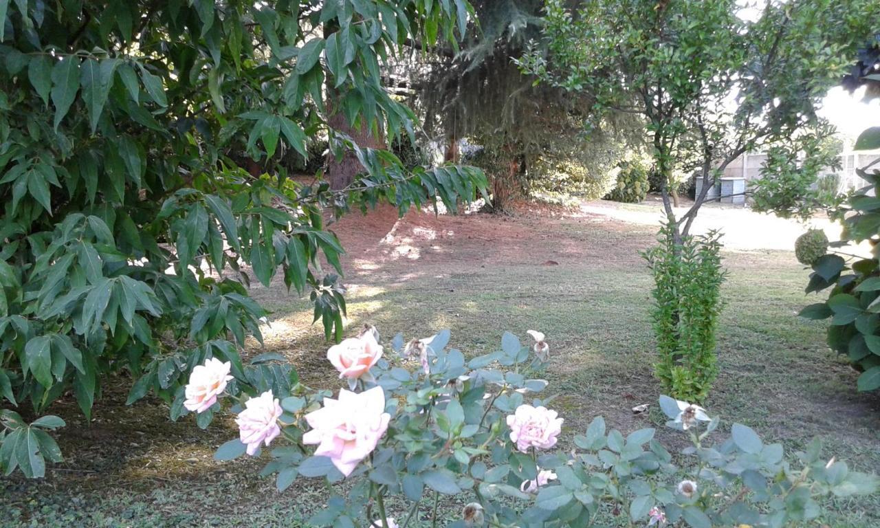 B&B Villa Mirella Casnate Con Bernate Luaran gambar